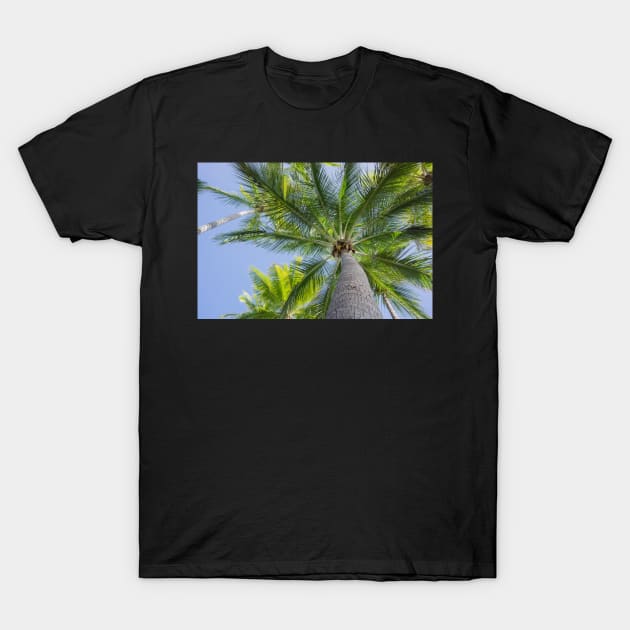 One large palm T-Shirt by sma1050